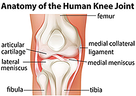 Medial Collateral Ligament (MCL) Tear Midtown East NY